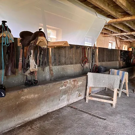 Ferienhaus Equestre De Calvares