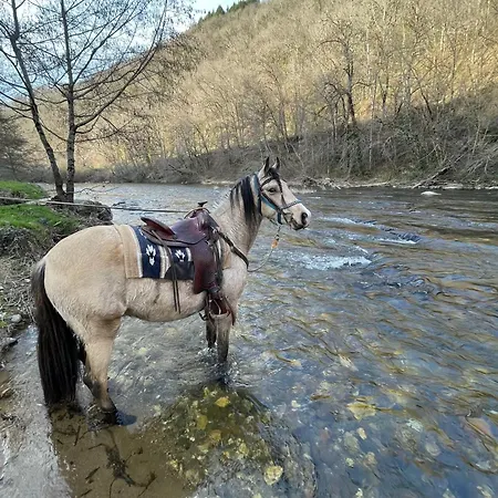 Ferienhaus Equestre De Calvares *