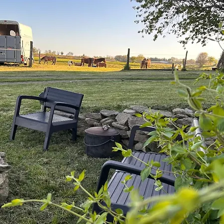 Equestre De Calvares *